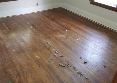 a damaged hardwood floor in need of repair